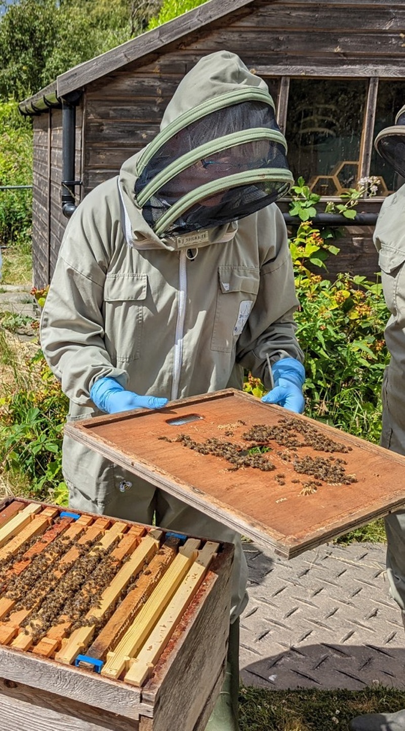 Other image for Val is always in a hive of activity